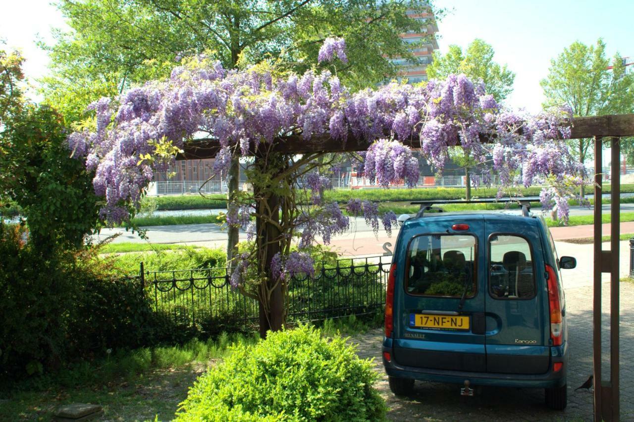 פורמרנד Amsterdam Old Holland B&B מראה חיצוני תמונה