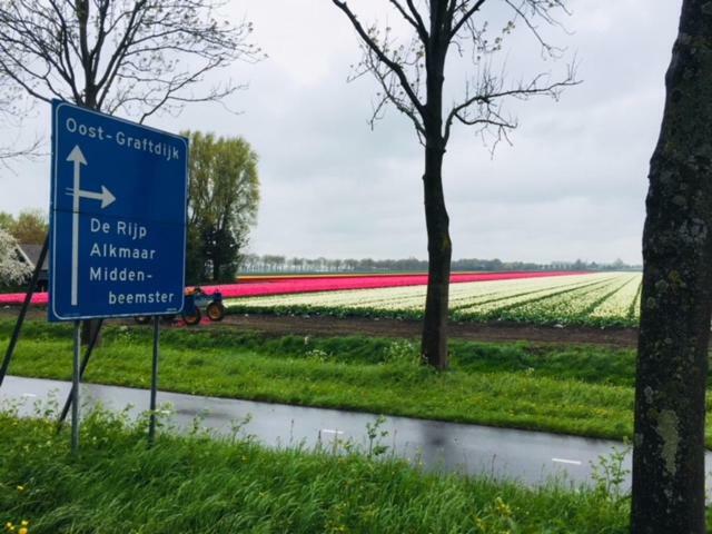 פורמרנד Amsterdam Old Holland B&B מראה חיצוני תמונה